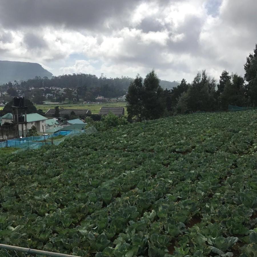 Dahlia Mount View Hotel Nuwara Eliya Extérieur photo